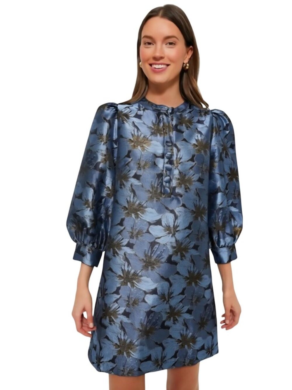 Tuckenuck Pomander Place NWT Samantha Dress Blue Jacquard Puff Sleeve Size XXL